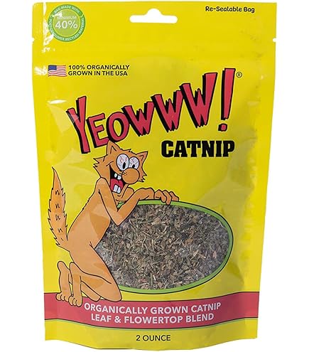 Amazon.com: Zoom Around THE Room Organic Catnip : Pet Supplies