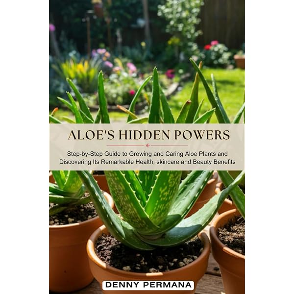 The Science Behind Aloe: The Healing Plant: EMBA Erik Aguayo