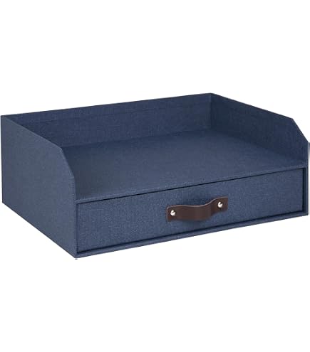 Amazon.com: Bigso Box of Sweden Silvia Organizational Storage Box