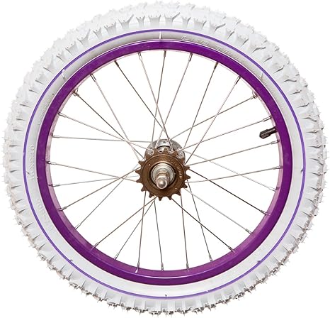 cheap bike wheel
