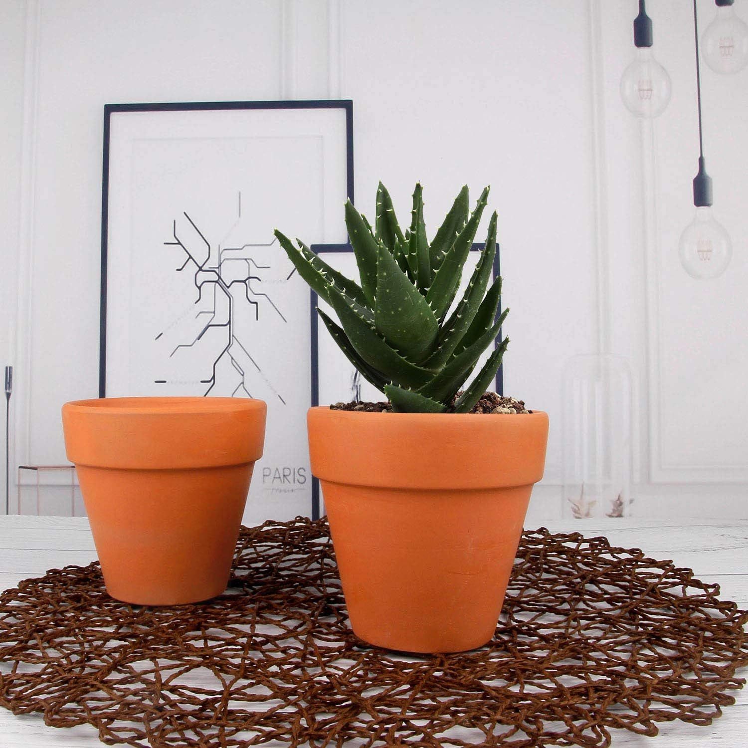 T4U 10.5CM Terracotta Clay Pots Pack of 6 - Image 4