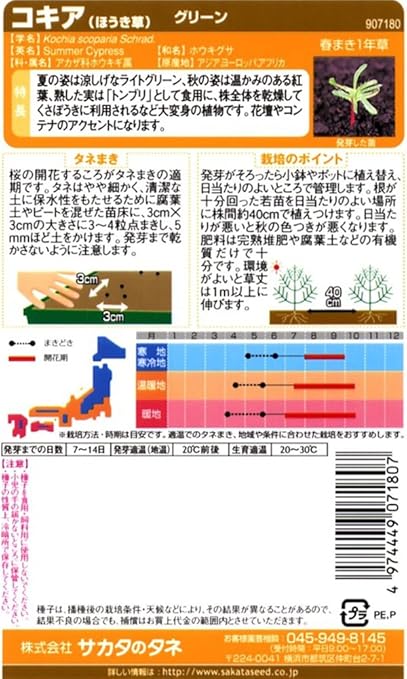 Amazon サカタのタネ 実咲花7180 コキア ほうき草 グリーン 花