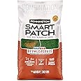 Pennington Smart Patch Bermudagrass Mix 30 lb