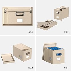 DYWMM Hanging File Box with Lid, Set of 4 Filing