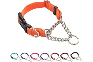 Yunleparks Martingale Dog Collar with Quick Release Buckle Steel Chain No Pull Training Reflective Collar for Medium Large Dogs(Orange, Large)