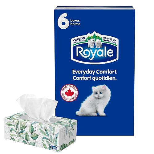 Royale Everyday Comfort 2 Ply Facial Tissue, 6 Tissue Boxes, 126 Tissues per Box