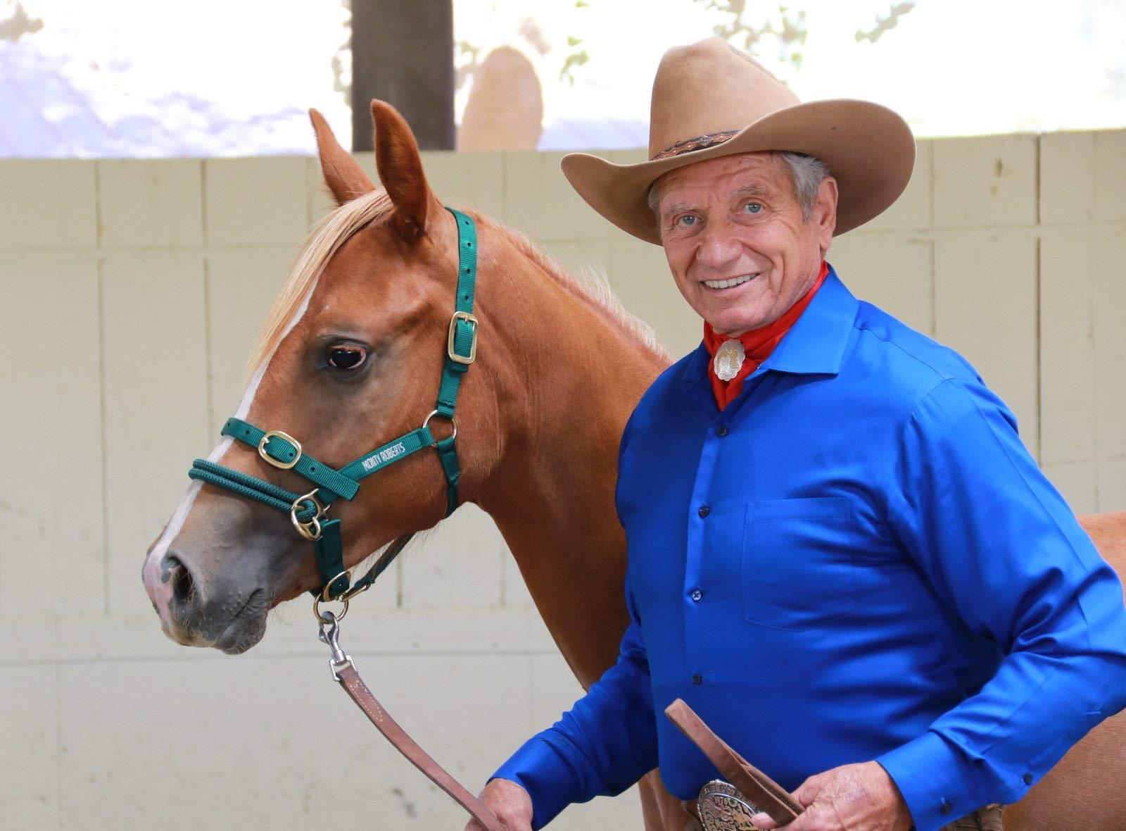 Monty Roberts Dually Headcollar (Extra Small - Green)