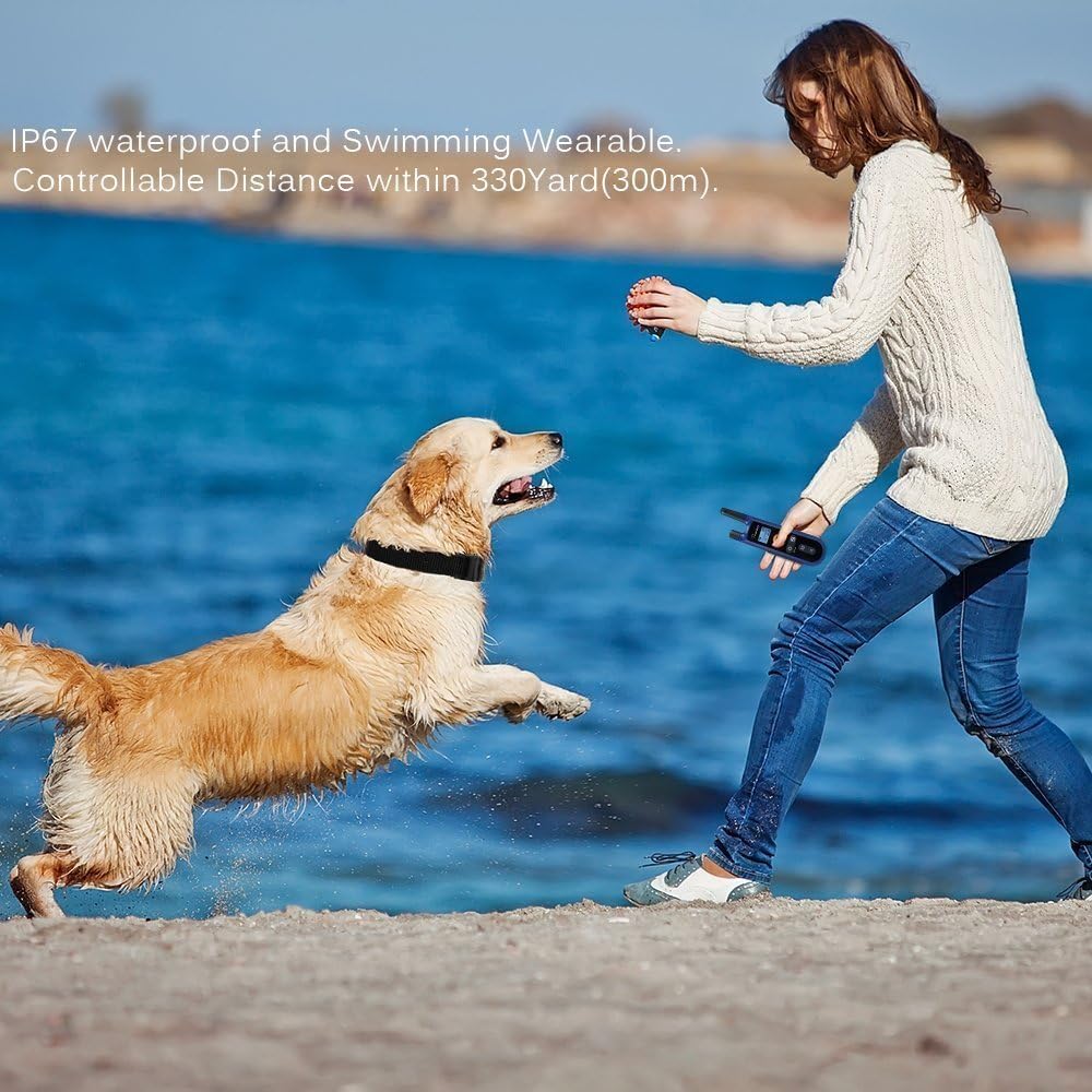 marsboy dog training collar