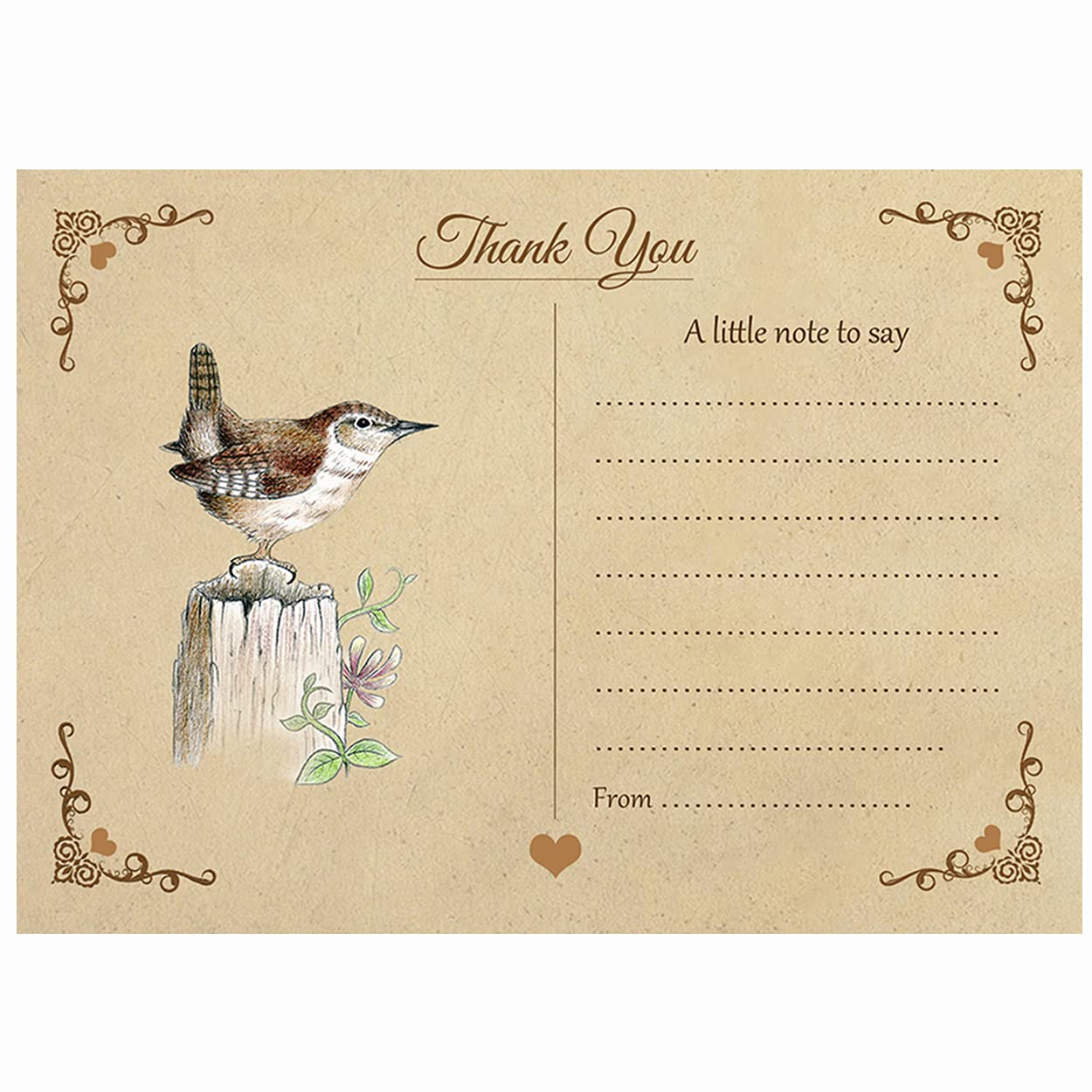 Artstore Vintage Jenny Wren Thank You Note Cards With Brown Kraft Envelopes - Pack of 15