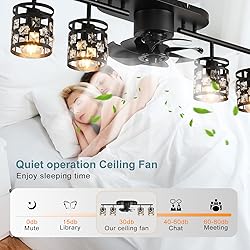 Garwarm Ceiling Fans with Lights and