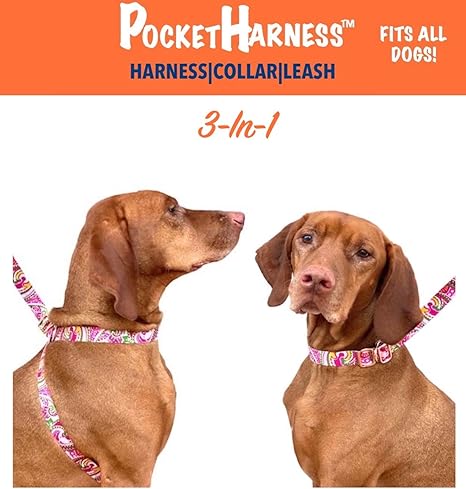 happy at heel harness amazon