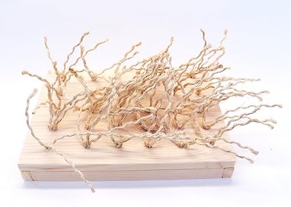 rabbit accessories online