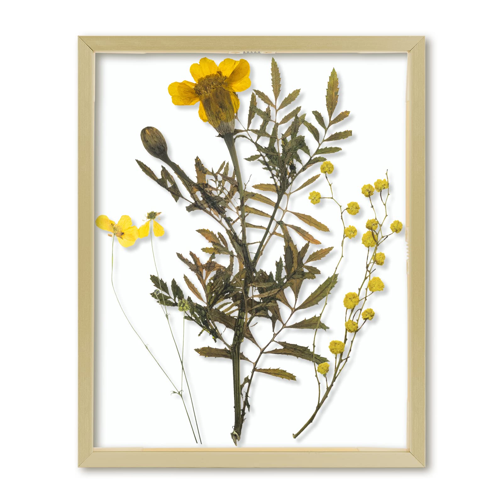 Frametory, Floating Picture Frame 8x10 - Gold Aluminum Metal Photo Frame - Real Glass of Front - for Wall Mount Displays