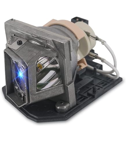 Amazon.com: SONY LMP-H220 Lamp Manufactured by SONY : Electronics