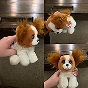 barks beanie boo