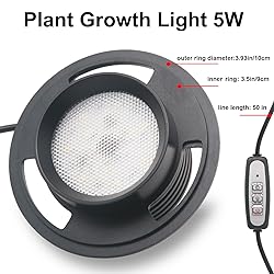 Desktop Glass Terrarium with Grow Light