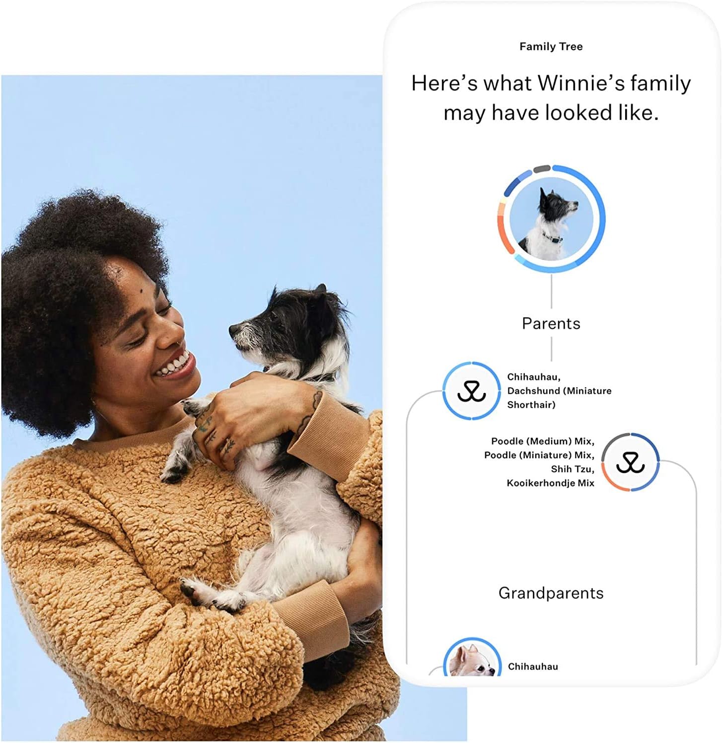 Wisdom Panel Essential: Most Accurate Dog DNA Test Kit for Breed ID and Ancestry, white, 75 g (Pack of 1) - Image 4