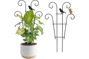 Xeeol Indoor Plant Trellis for Potted Plants with Bird, Small Metal Indoor Trellis for Climbing Plants Indoor for Houseplant, Pothos Plant Climber Support for Hoya Vine, 2p