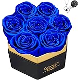 Casaido Preserved Roses Flowers for Delivery 7 Pcs, Vanlentines Day Gifts for Her, Forever Flores in Heart Box with Necklace, Anniversary Birthday Christmas Rose Gift for Women Wife Girlfriend, Blue
