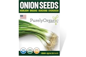 PURELY ORGANIC PRODUCTS LLC Organic Onion Seeds (Bunching Evergreen) - Approx 200 Seeds - USDA Organic, Non-GMO, Open Pollinated, Heirloom, USA Origin