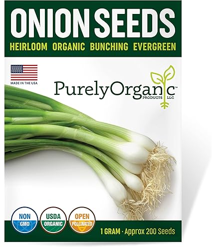Amazon.com : Eden Brothers Onion Seeds (Bunching) - Tokyo Long