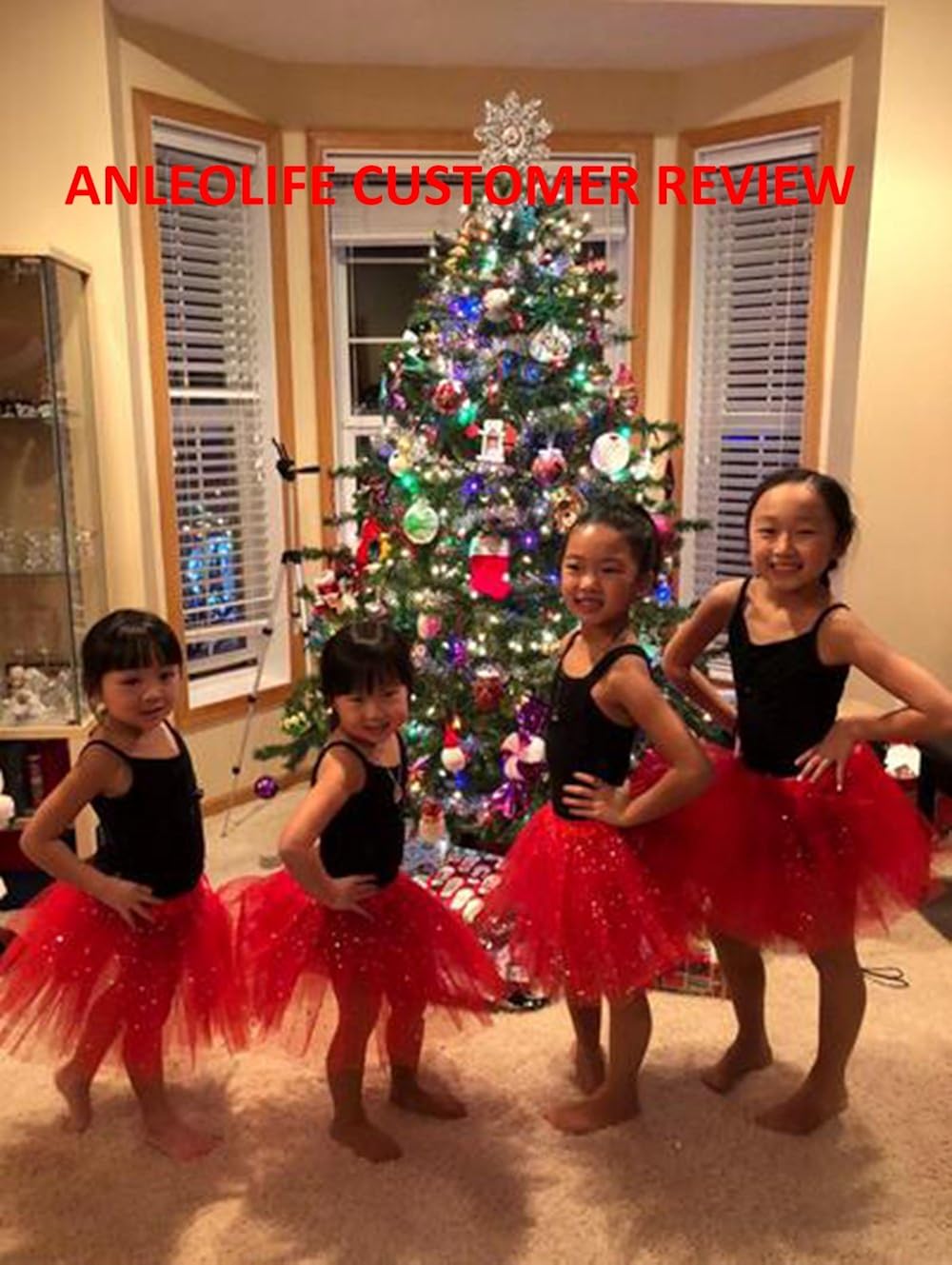 Anleolife 12 inch Red Tutu Skirt Girls Cute Ballet Tutu Baby Birthday Tutus (red): Clothing