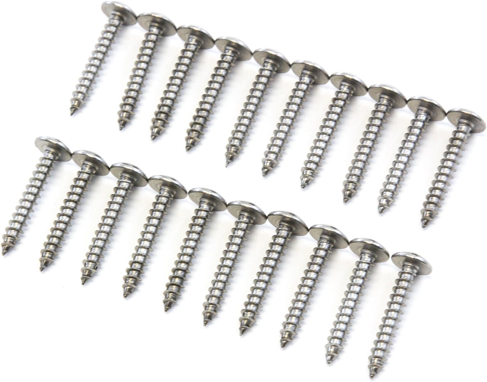 Red Hound Auto 20 Piece Truss Head Screw Set for Dock Bumper Installation Marine Grade Stainless Steel 10 x 1-1/4 Inches SS