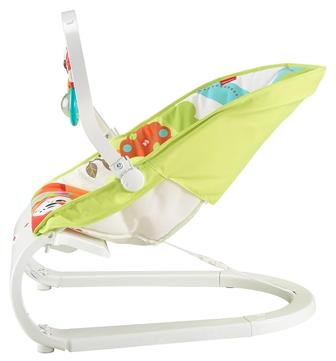 fisher price woodland friends bouncer