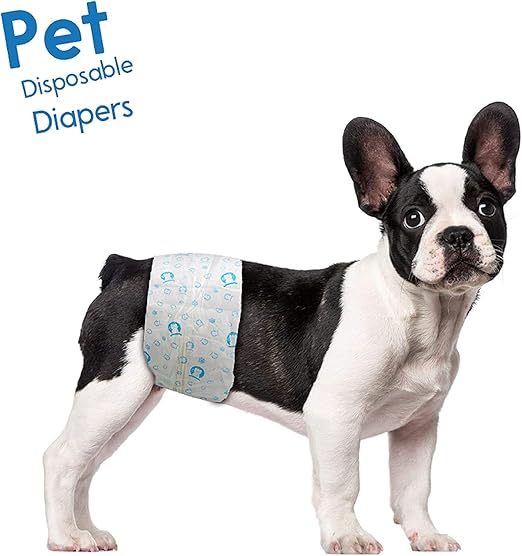 male dog diapers amazon