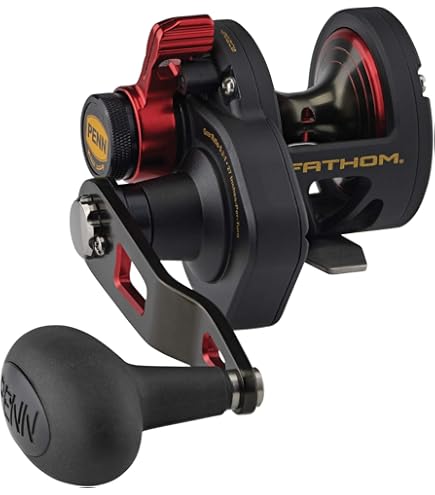 PENN FTHII25NLD Fathom II Lever Drag 25, Offshore Reels - Amazon