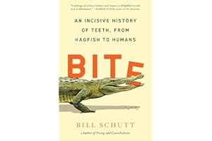 Bite: An Incisive History of Teeth, from Hagfish to Humans
