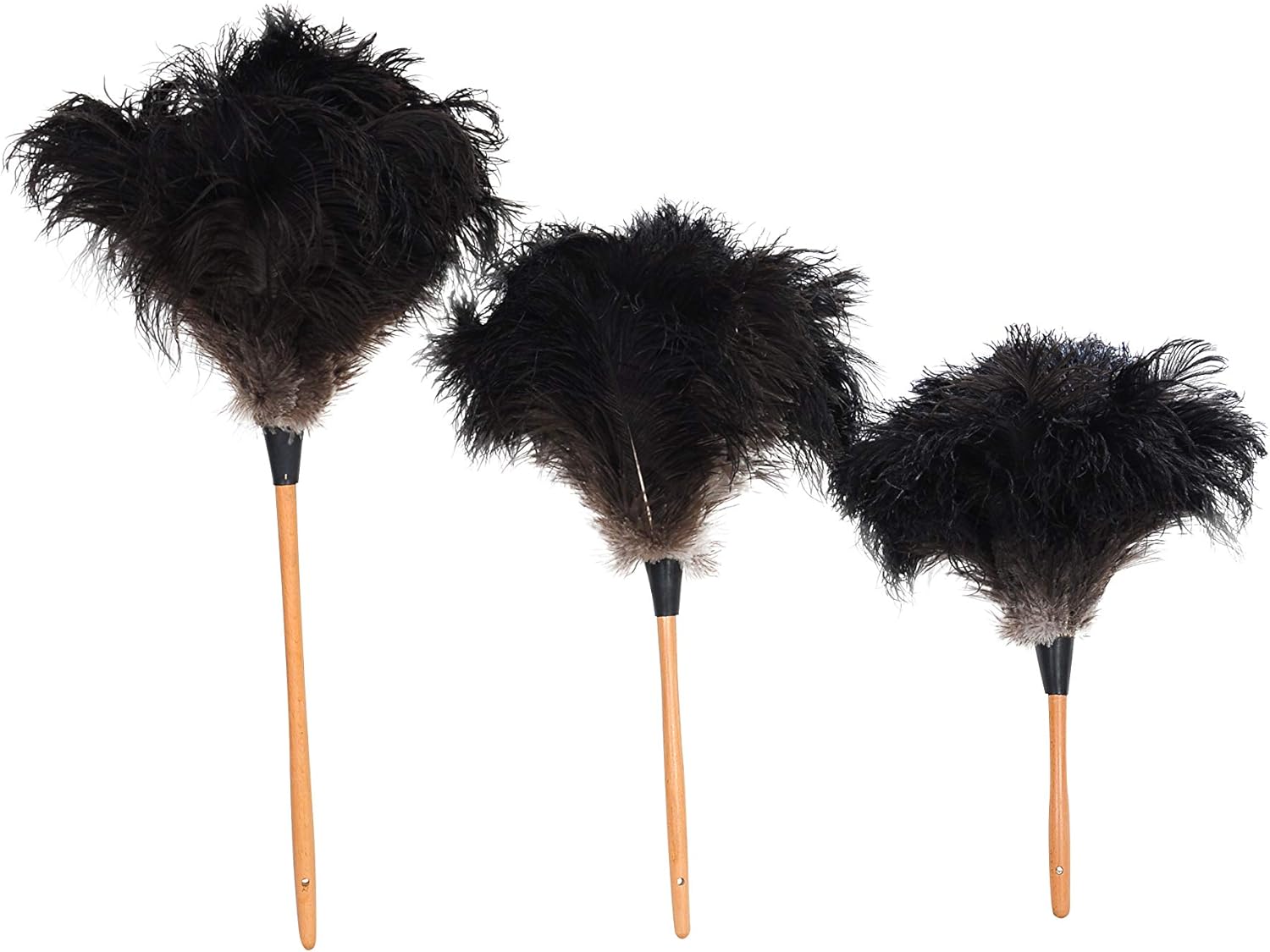 ROYAL DUSTER Black Ostrich Feather Duster (14"): Health & Personal Care