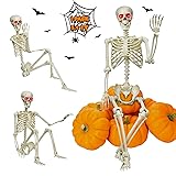 5.4Ft Life-Size Halloween Skeleton Decor - Full