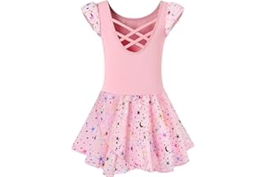 DANSHOW Ballet Leotards for Girls Dance Skirted Leotard Kids Ballet Tutu Dress Toddler Shiny Ruffle Sleeve Dancewear