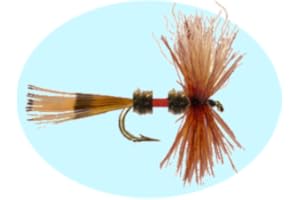 Fly Fishing Simulator