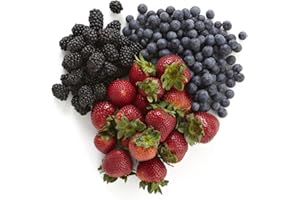 FRESH NATION Farmers Market Berry Good Bundle