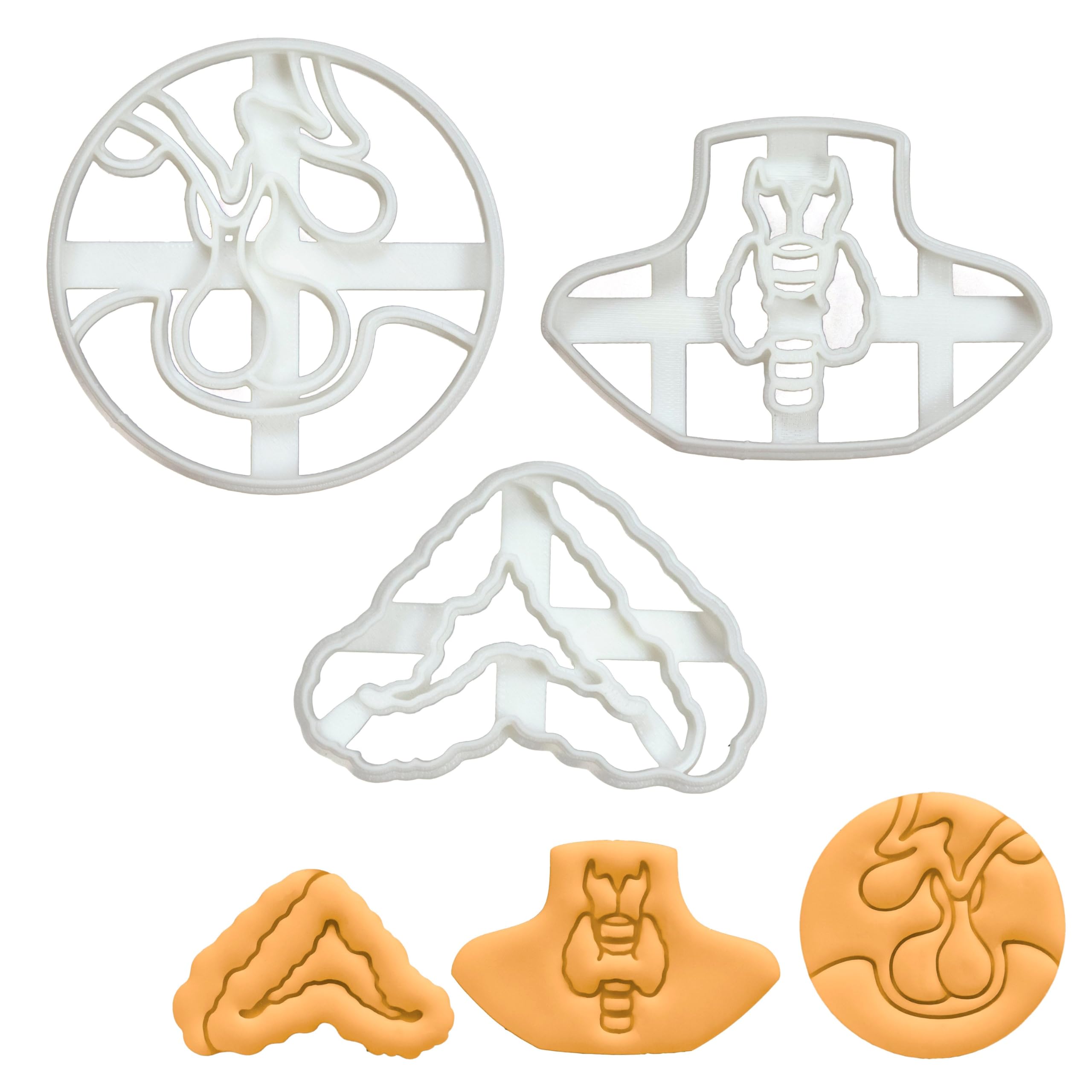 BAKERLOGY Set of 3 Cookie Cutters (Designs: Thyroid Gland, Pituitary Gland & Adrenal Gland) - Detailed Biscuit Cutter Design for Baking and Crafts, Ideal on Fondant, Dough, Clay