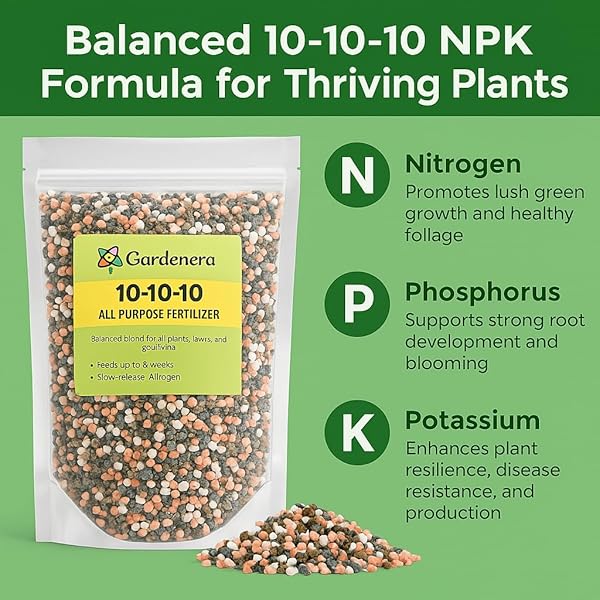 𝐁𝐄𝐒𝐓𝐒𝐄𝐋𝐋𝐄𝐑 10-10-10 PLANT FERTILIZER SLOW RELEASE | 10 10 10 ALL PURPOSE FERTILIZER FOR FRUIT TREES, EVERGREENS, VEGETABLES, ARBORVITAE, FIG TREES, SHRUBS, PINES, OAKS, FLOWERS [1 QUART]