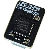TPM 2.0 Module, 12-Pin LPC Interface with infineon SLB9665, Compatible with GigaByte Motherboard