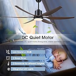 Kviflon 66 inch Large Ceiling Fans with Lights
