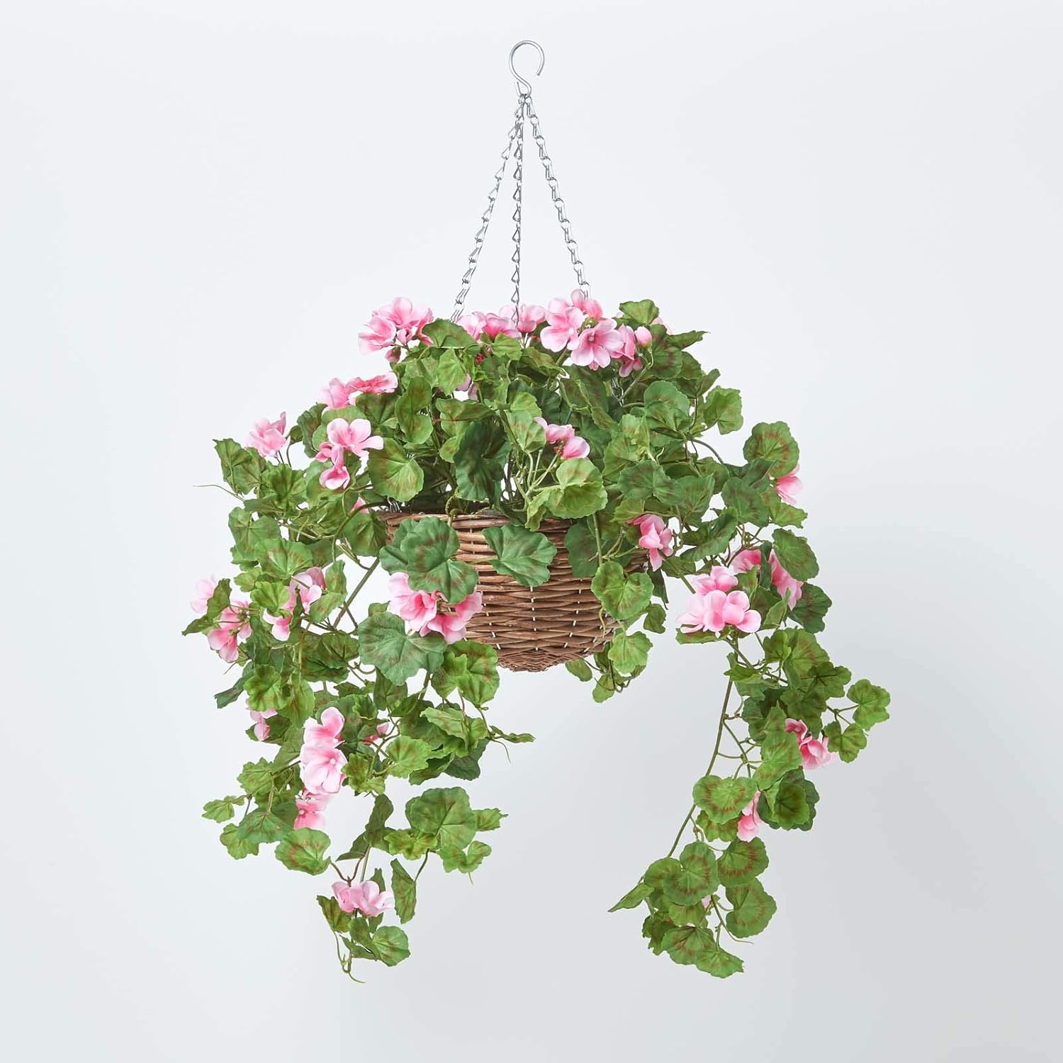 Hanging Baskets With Trailing Geraniums at Torres blog