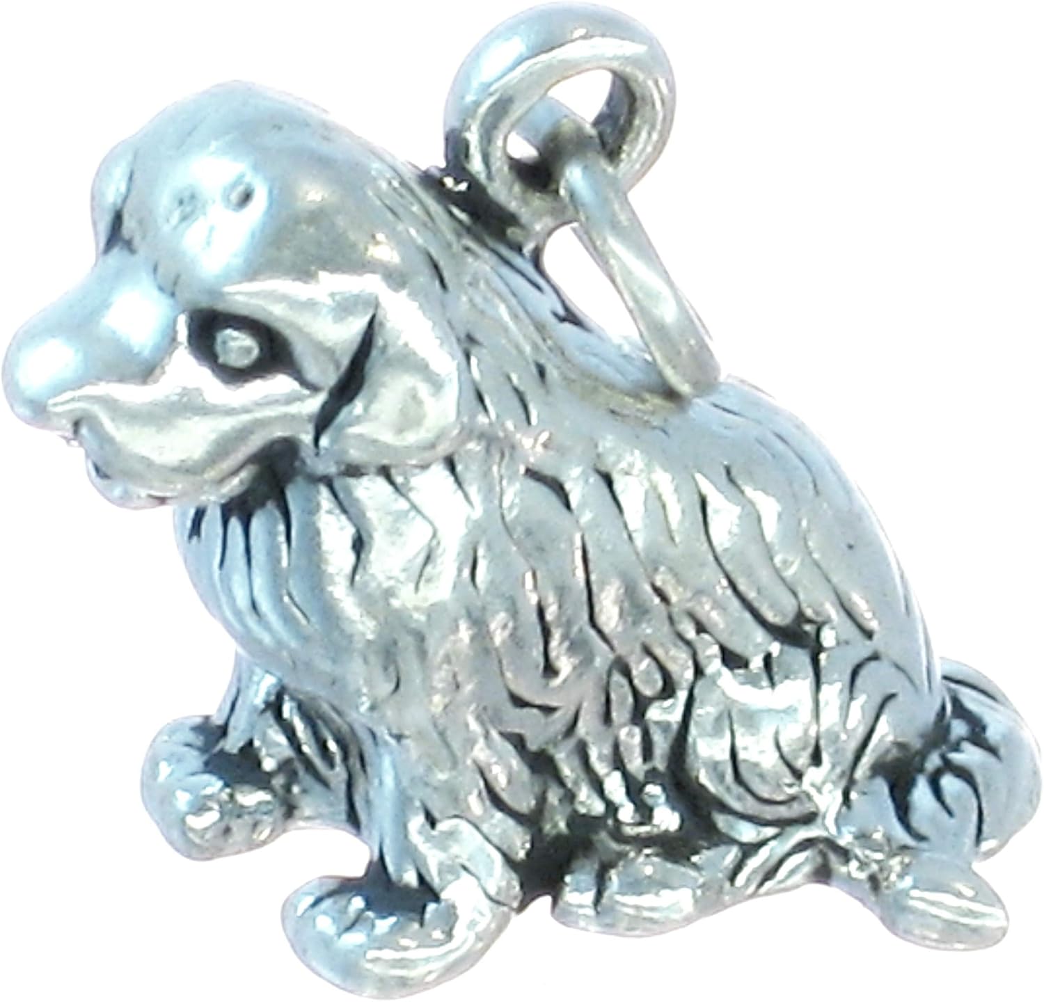 silver newfoundland dog