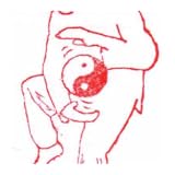 Wu Style Taijiquan Video App