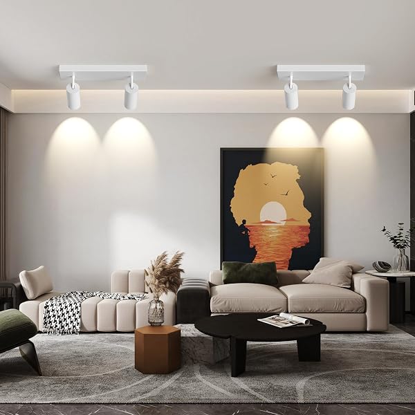 SPOTLIGHT INDOOR CEILING LED LIGHT,2 LIGHTS 40W MODERN SPOT LIGHT FIXTURES 4000K WHITE ACCENT 300°ADJUSTABLE PICTURE PAINTING FOR LIVING ROOM BEDROOM HALLWAY GALLERY FLUSH MOUNT DIRECTIONAL LIGHTING