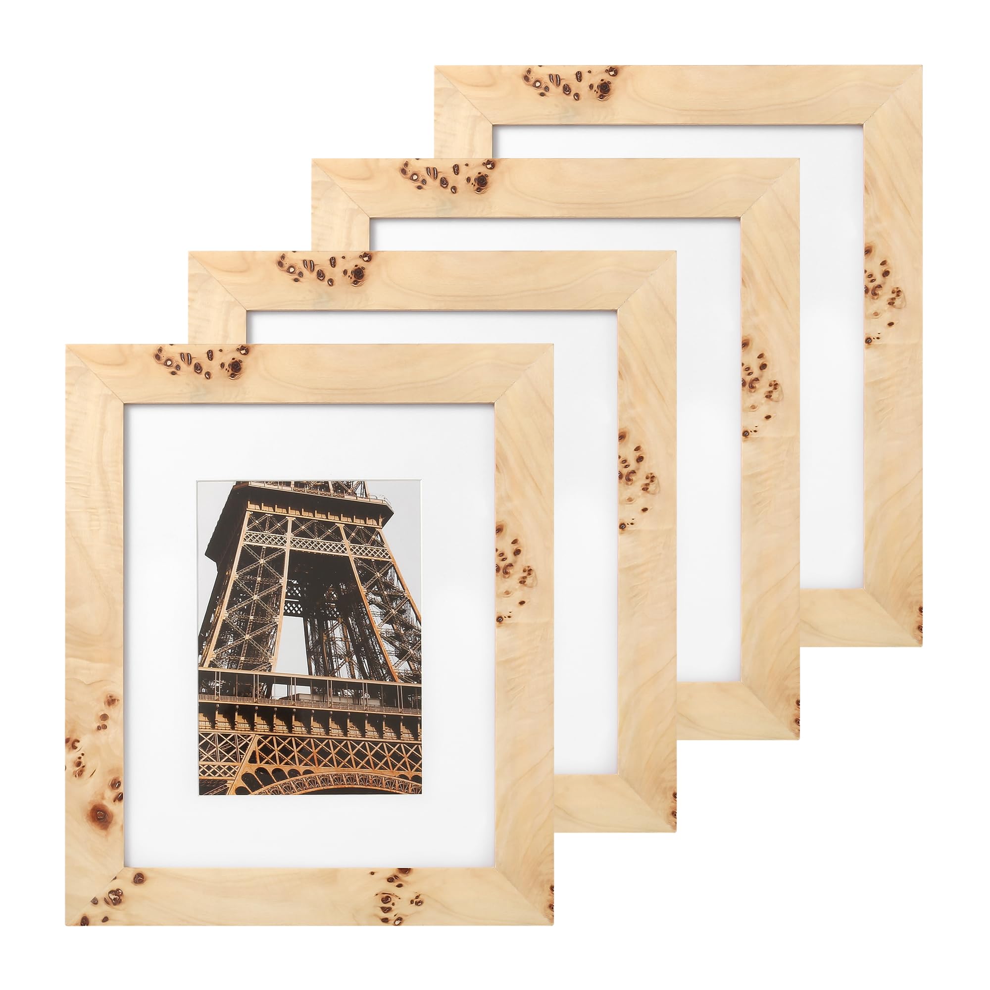 Photo 1 of Concepts - 8x10 Matted to 5x7 Burl Wood Picture Frames - Natural Wood Finish Picture Frames for Family Photos - Elegant Wall hung Decor in Bulk