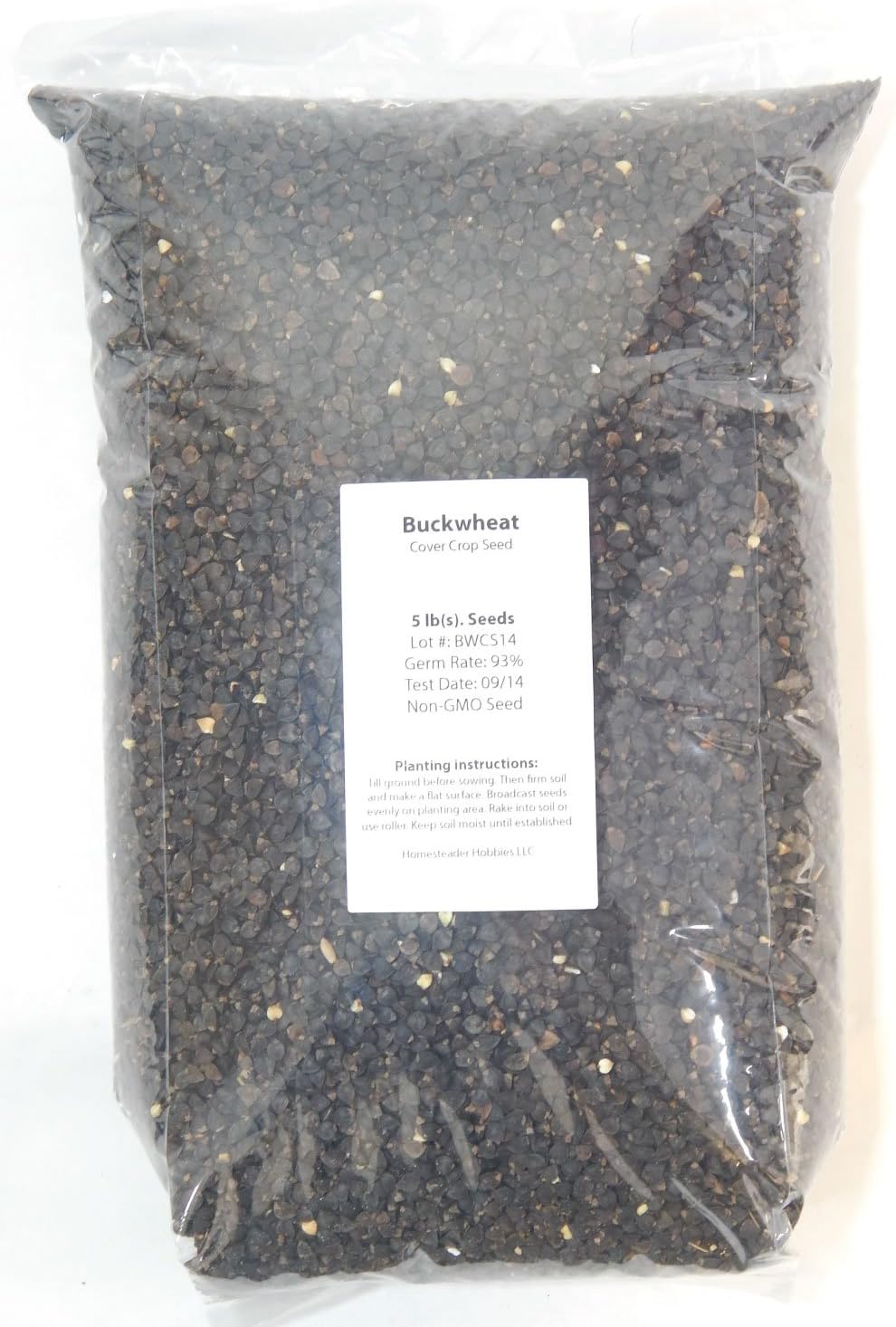 Buckwheat Seeds Untreated, NonGMO, 10 lbs. Garden
