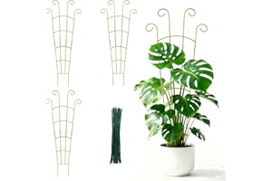 MIJAYENV 30 Inch Trellis for Climbing Plants Indoor 3 Pack Indoor Plant Trellis for Potted Plants Metal Garden Trellis for pots Indoor Outdoor for Monstera Pothos Vine Ivy Hoya(30inch Gold)