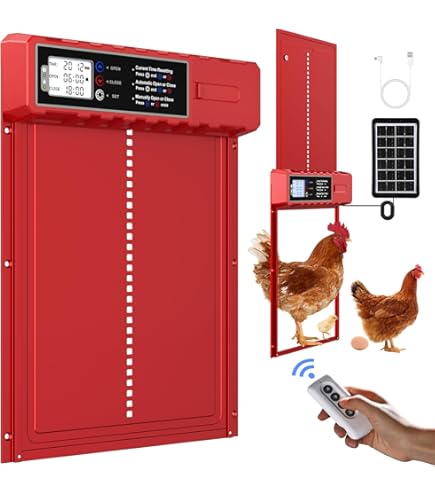 Large Size Automatic Chicken Coop Door Solar Powered Auto Chicken | INDIA - View #12
