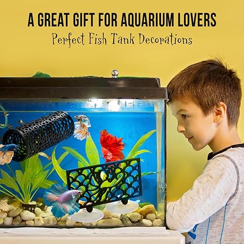 Abizoo Betta Fish Tank Accessories Decorations,Betta Tunnel Swim Tube Black  Soft Edged Betta Hammock Bed, Shrimp Guppies Hideout Betta Shelter Toys,  Aquarium Moss Ledge - Perfect for Betta Tanks in Kenya |