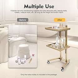 2 Tier Metal Rolling Cart, Stainless Steel Salon